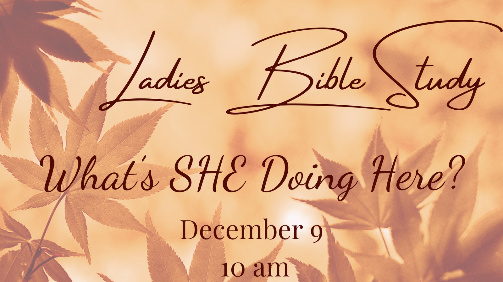 Ladies Bible Study